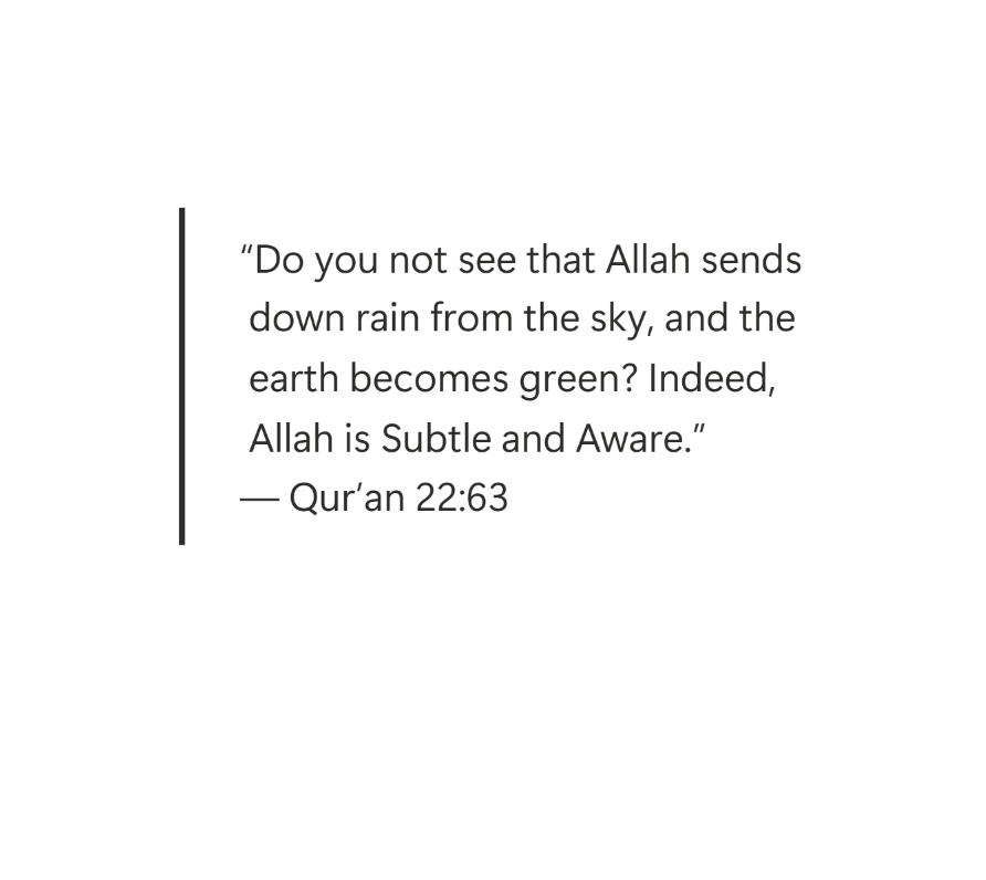 Rain from Allah (Quran 22:63) - Art Print