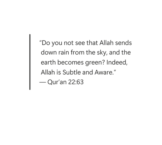 Rain from Allah (Quran 22:63) - Art Print